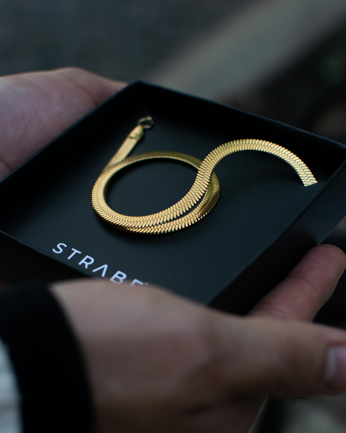 SET 2 CADENAS SNAKE GOLD & SILVER