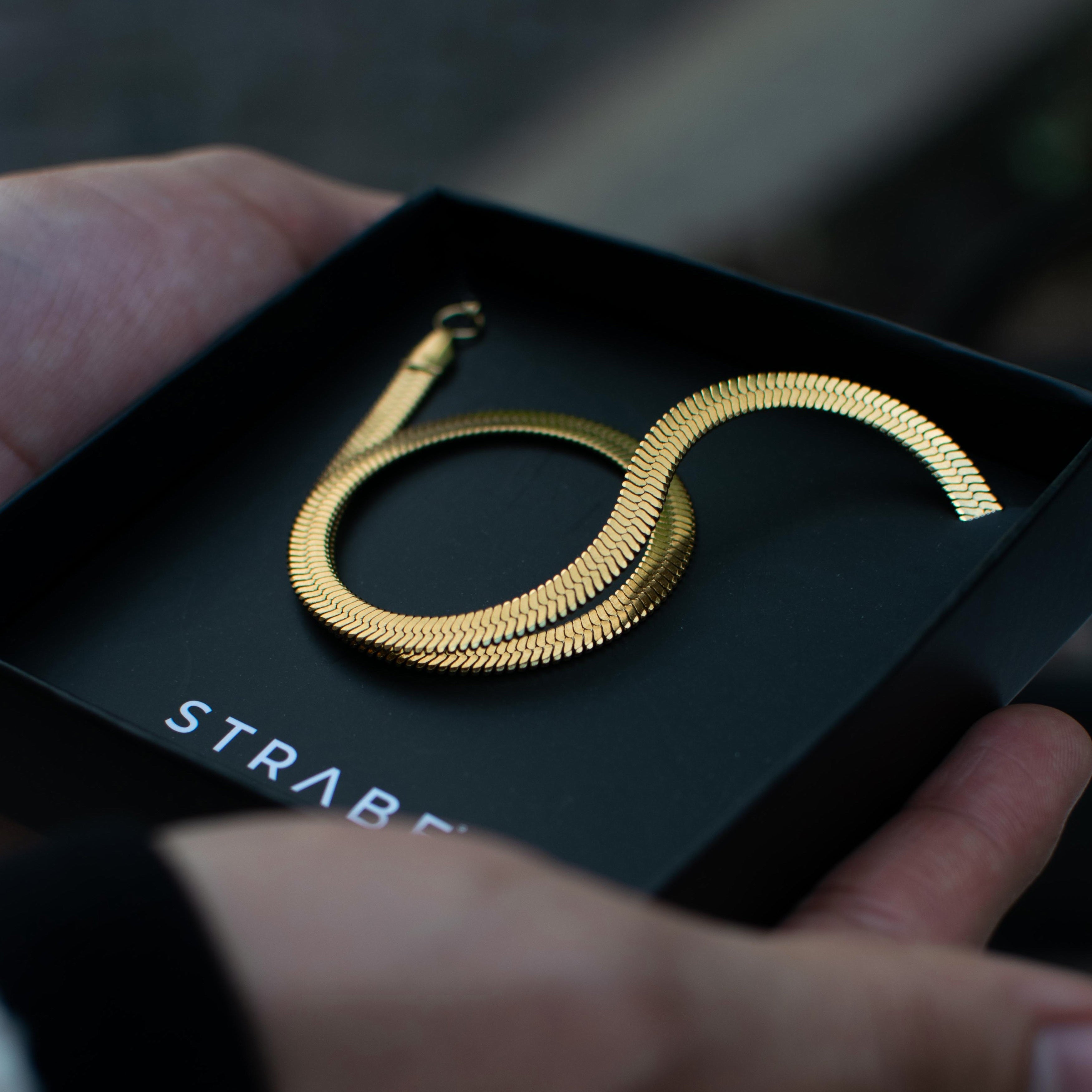 Combo Snake Gold H&M